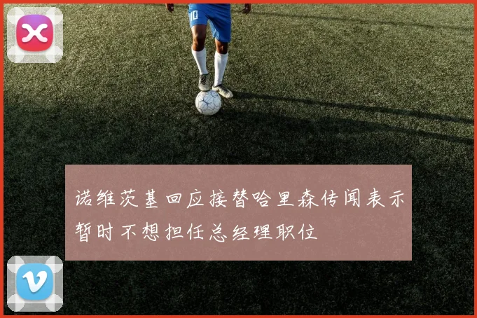 诺维茨基回应接替哈里森传闻表示暂时不想担任总经理职位